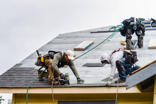 Professional Storm Damage Roof Repair technician working in Rossville, KS